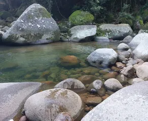 Vale das Águas - Private waterfall/natural pool - Image 3