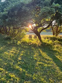 Charming Forest Retreat, 15 Min from Mariefred - Image 4