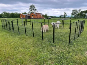 Finger Lakes Cabin #1, Vineyards, Sunsets & More! - Image 3