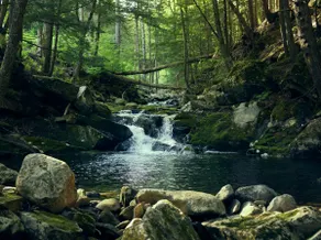 Stratton Summer House | Trails + Swim Holes + AC - Image 5