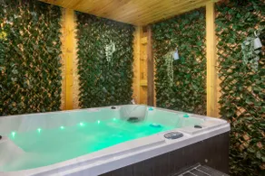 Lovely room Spa Sauna Colmar - Image 5
