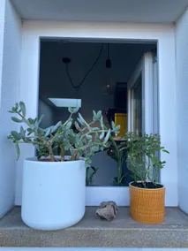 Apartamento Urban Farm 3 - Image 3