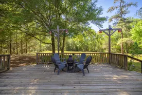 10 Acres Sanctuary - Monkey House - Image 5