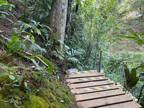 Luxury Cabin in the Forest - Image 3