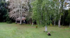 Cozy cabin nestled in Valdivian Forest - Image 2