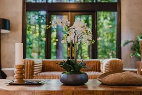 Paces Palazzo--a Buckhead Mansion - Image 3