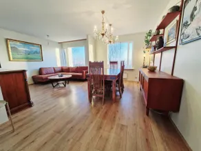 Ysta-Bæli Black Beach Farm House - Image 4