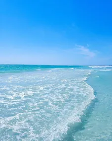 Relax+ Jacuzzi | 9 Min to Siesta Key Beach - Image 4