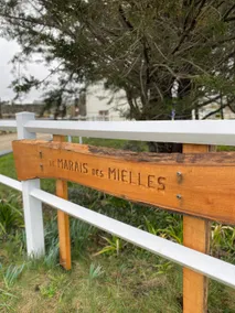 Maison familiale 8 pers, Le Marais des Mielles - Image 2