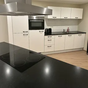 Apartment 20 minutes from Amsterdam, Renovated - Image 4
