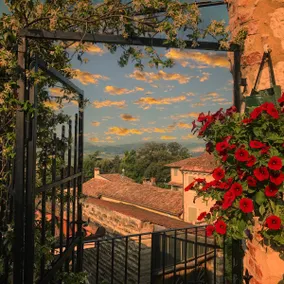 Corte Arancio your home in the heart of Monferrato - Image 5
