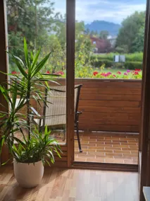 Apartment with lake access & pool & garden - Image 4