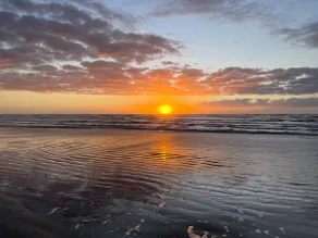 Seashells and Sunshine - Image 3