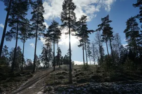 Large nice cottage near Isaberg mountain resort. - Image 2
