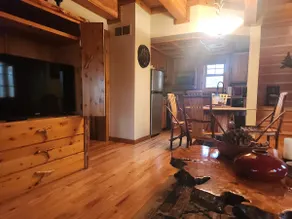secluded cozy cabin in the woods on Sangamon river - Image 5