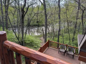 secluded cozy cabin in the woods on Sangamon river - Image 4