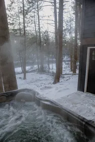 Riverfront Sauna! Hot Tub! Luxury Romantic Retreat - Image 5