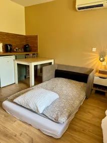 Air-Conditioned Studio Apartment, Pond View - Image 5