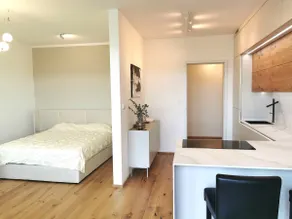 free private Parking, central location, Nuslesky Pivovar sunset balcony home, - Image 4