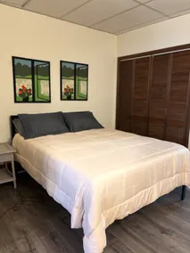 Spacious Downtown Apartment - Image 4