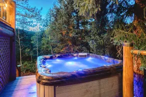 Creekside Cabin with Private Hot Tub & Wood Stove - Image 3