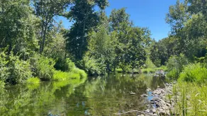 Grand Riverside Retreat - 150 yds from the River - Image 3