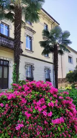 Villa Liberty–Eleganza e comfort - Image 3