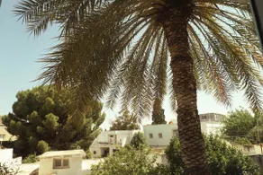 Exclusive Villa-Apartment Near Le Bardo-Museum - Image 3