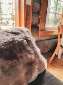 Pikkukelo Levi - Doorstep Ski Bus - Sauna - Traditional log cabin - Image 4