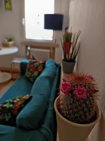 Charming studio apartment ”Casa Mirighì” - Image 5