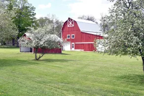 Cayuga Lake Farmhouse on Finger Lakes Wine Trail - Image 5