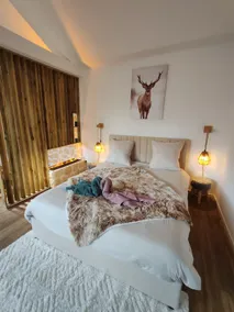 Le Chalet Champenois - Jacuzzi - Terrasse - Calme - Ciné Netflix - Image 3