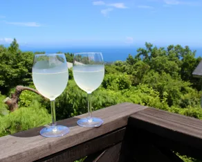 2025.8 Izu Kogen New Open! Spacious deck and ocean view, private hot spring! - Image 2