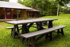 Rodeo Ranch: Fully Renovated, Shuffleboard, Groups - Image 5