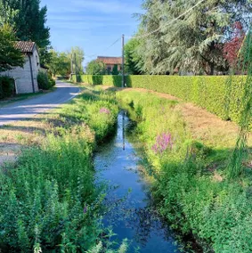 The Beekeeper, terrace & country calm near Parma - Image 5