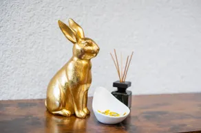 Special Roger F. Rabbit 4 Apartment - Image 2