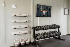 Wellness Retreat w/ Hot Tub, Gym, Cold Plunge - Image 4