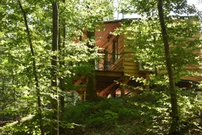 Squirrel cabin - covered terrace with forest view - Image 2