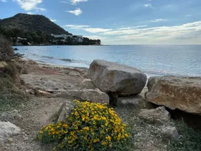 House Beach and Golf - Image 4