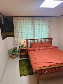 Tiger House - Image 4