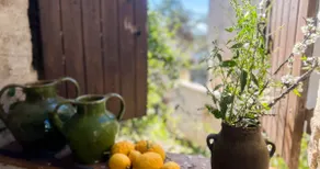 Bucolic garden - Magical view - Bohemian life! - Image 3