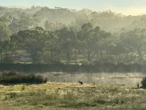 Lode Creek Tin Miner's Cottage - Image 4