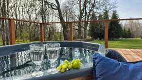 Cozy, private country home with a garden and sauna - Image 4