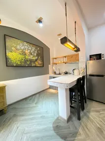 One-bedroom house near Notre Dame Cathedral, Zoo - Image 3