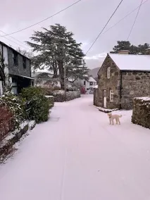 Cottage in Rowen by River  Pet-Friendly Trails - Image 5