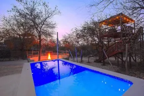 Longneck Luxury Bush Lodge - Image 4