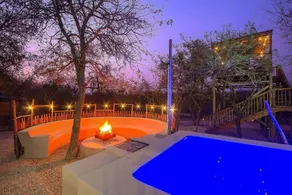 Longneck Luxury Bush Lodge - Image 3