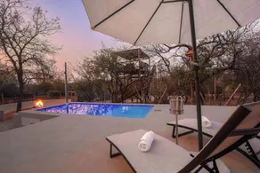Longneck Luxury Bush Lodge - Image 5