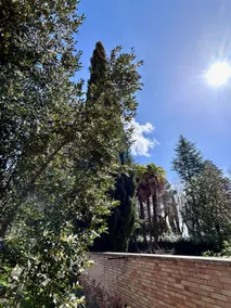 San Gemini Fiori - InBorgo - Image 5