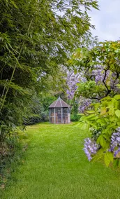 Gîte Le Grand Albizia - Image 3